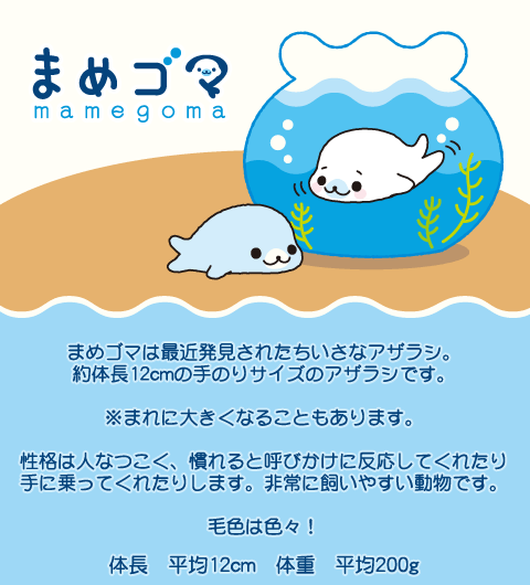 まめさん専用ページ ちゃんまめさん専用ページ まめちゃん様専用ページ】m(_ _)m